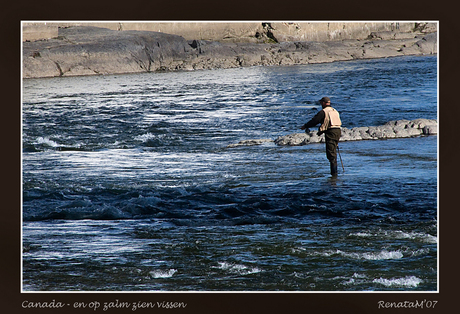 Vissen op zalm