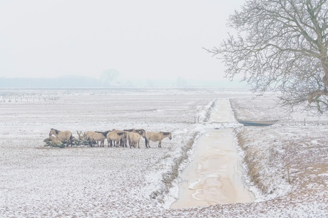 Warmte van elkaar