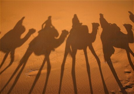 kamelentocht door de Sahara Zuid-Marokko