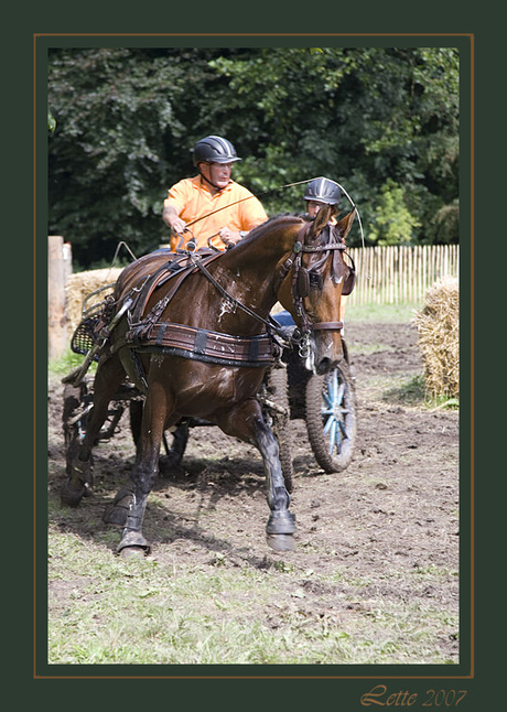 Paard en wagen