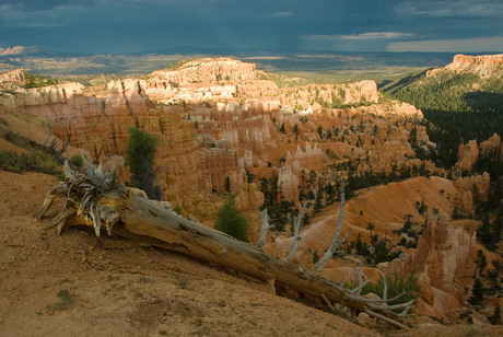 Bryce Canyon