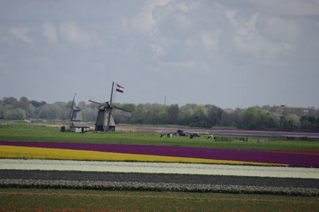 Holland