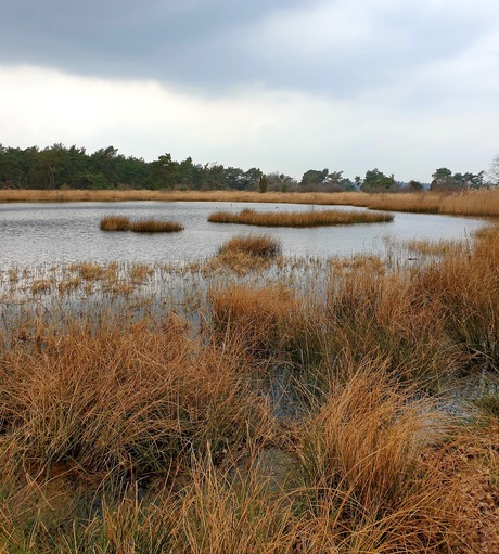 Hijkerveld