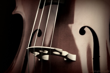 cello 2