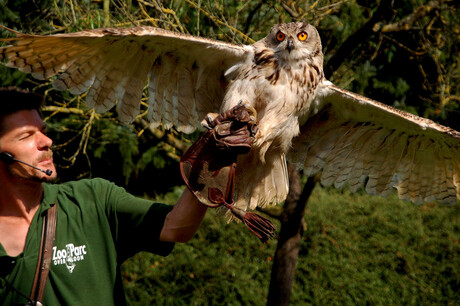 Flying with wings....