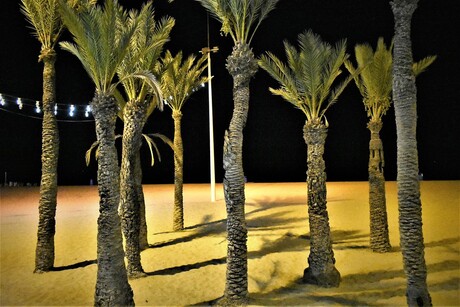 Benidorm beach by night