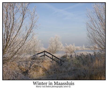 Winter in Maassluis