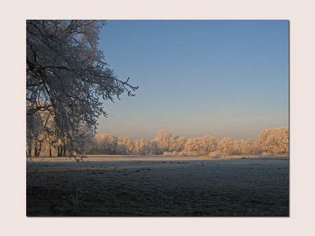 Winterlandschap