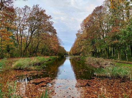 Vaart Komen - Ieper. Palingbeek