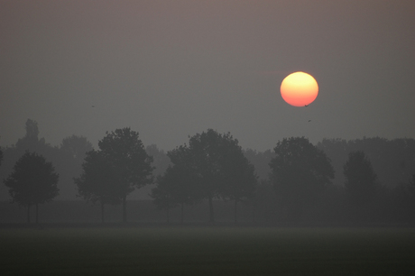 Misty Sunrise