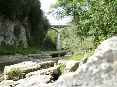 Elora Gorge in Canada - Ontario