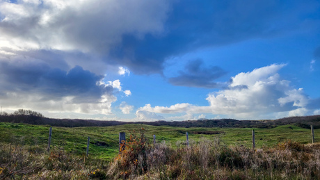 Duinen bij Oostkapelle.