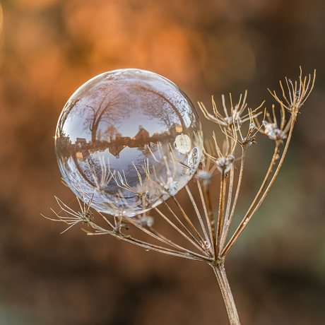 Weerspiegeling in een zeepbel.