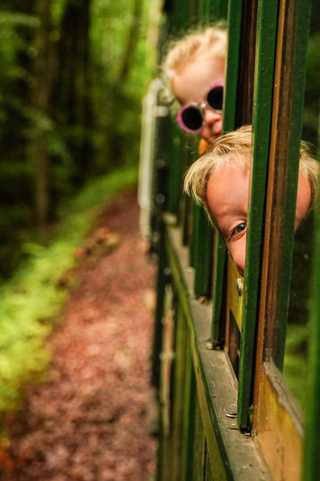 Treinreizen in Oostenrijk