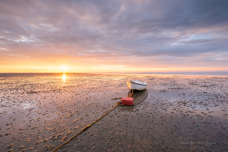Low Tide 