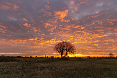 Zonsopkomst bij Lentevreug - Wassenaar