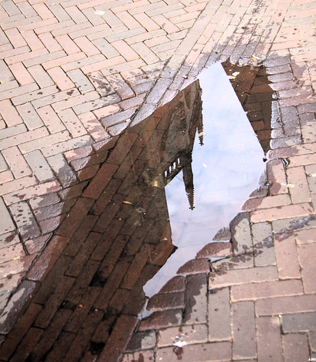 St. Bavo in een plas  