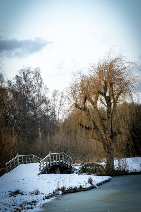 Winterlandschap in de late middag