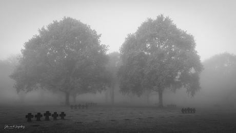 Misty morning at La Cambe
