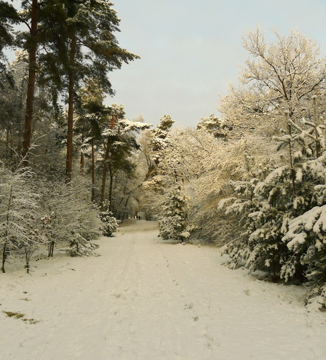 Uit het archief 2010