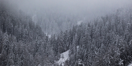 Winterse ochtend in Serfaus