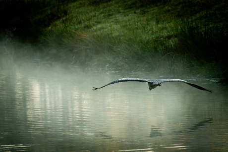 zo de mist in....