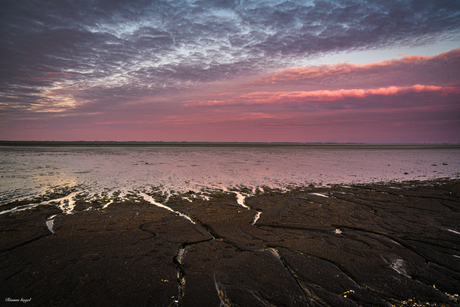 Waddenzee