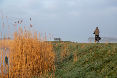 De eenzame fietser op weg naar ?