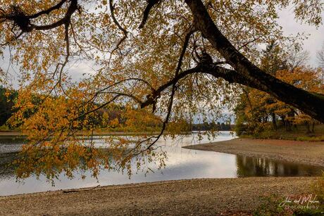 Meer van Bütgenbach 