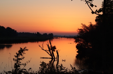 Zonsopkomst in de Biesbosch
