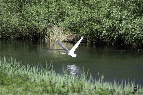 2de landings foto