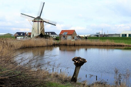 P1190946      Groeneveldse   Molen uit 1719   23 jan 2023  