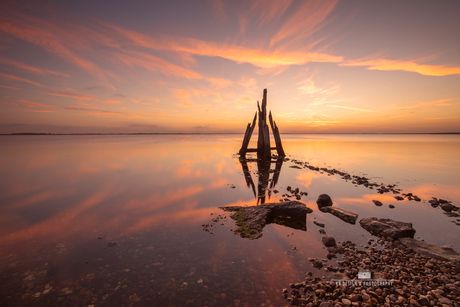 Arendshoofd bij zonsopkomst