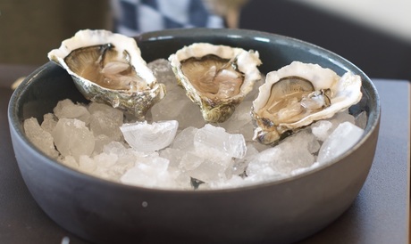 Oesters op een bed van ijs