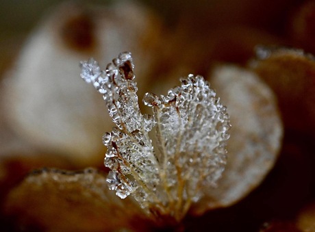 Ice ice baby