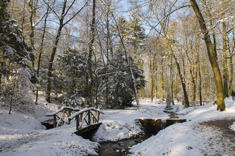 Winter op de Veluwe