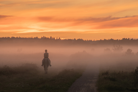 Mistige zonsondergang op de Veluwe