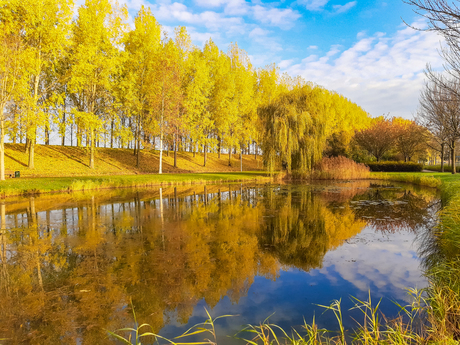 Herfsttinten in tweevoud