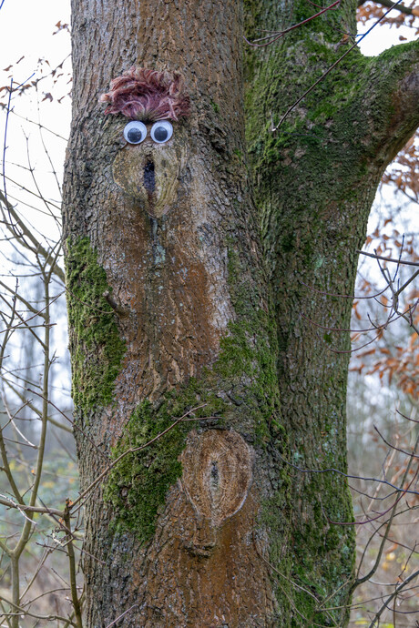 Big Brother is watching you