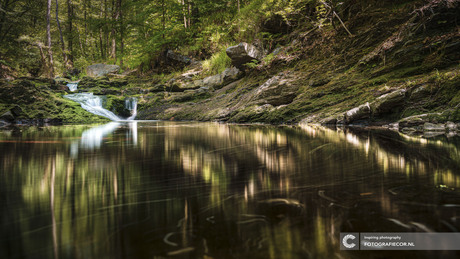 Hiken in de Belgische Ardennen