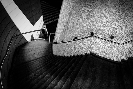 Tussen licht en schaduw