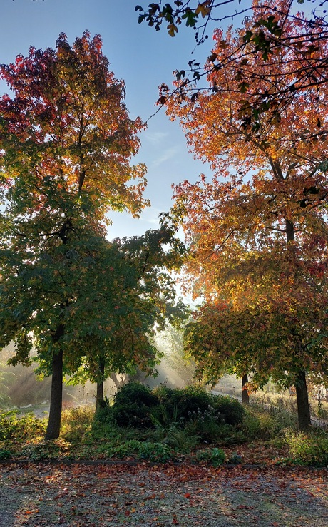 Ontwaken van de tuin