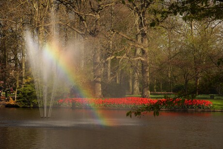 Kleur in de bollentuin van Nederland