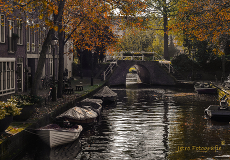 Herfst in Alkmaar