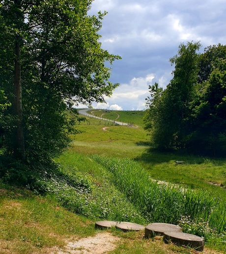 Vamberg