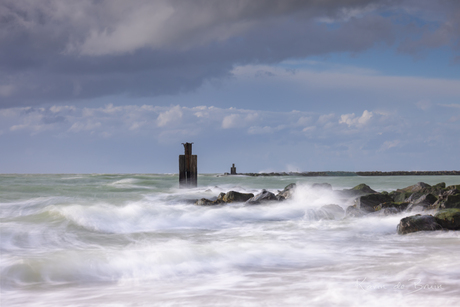 Blowing in the Wind!
