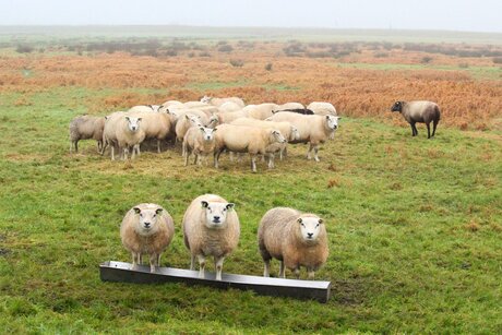 Photo de famille.