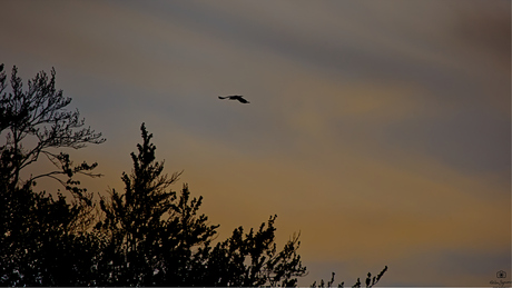 Sunrise…