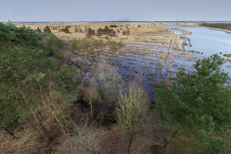 Fochteloërveen