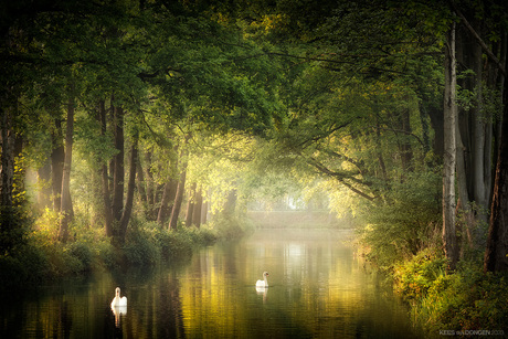 Once Upon a Time in the Netherlands 